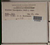 Image Associated With the Occurence
